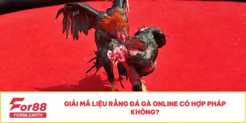 Đá gà 3 Giải mã liệu rằng đá gà online có hợp pháp không?