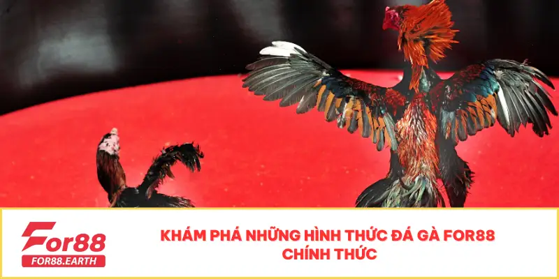 Đá gà 2 Khám phá những hình thức đá gà For88 chính thức